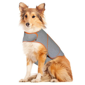Soothpaw Calming Anxiety Vest for Dogs