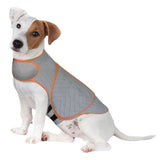 Soothpaw Calming Anxiety Vest for Dogs