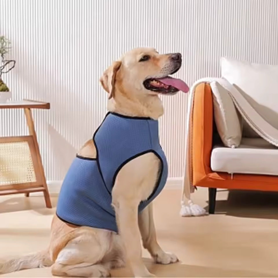 Dog wearing Soothpaw vest, calm and relaxed